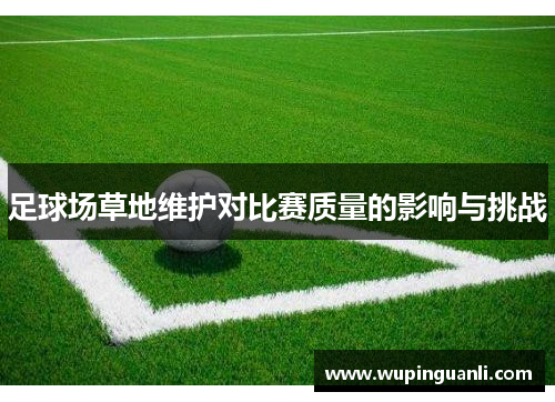 足球场草地维护对比赛质量的影响与挑战